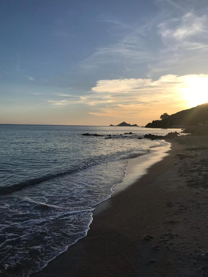 Magnifique Villa Recente Entre Mer Et Montagne Situee Entre Ajaccio Et Porticcio Cauro Εξωτερικό φωτογραφία