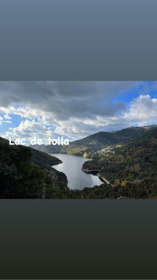 Magnifique Villa Recente Entre Mer Et Montagne Situee Entre Ajaccio Et Porticcio Cauro Εξωτερικό φωτογραφία